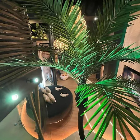 Omira - Nuits D'exception & Bordeaux