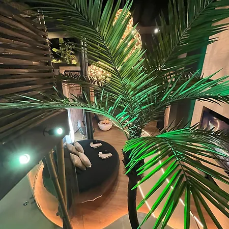 Omira - Nuits D'exception &